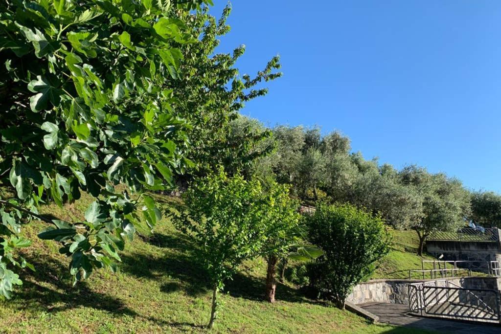 Cozy House On Iseo Lake Fonteno Екстериор снимка